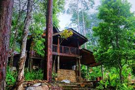 Guaranteed best prices on resorts in janda baik! Get A Little Piece Of Paradise At Forrest House Bukit Tinggi Your Sanctuary In The Forest Klnow