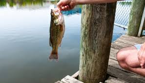 Ultimate Guide To Fishing In Asheville North Carolina