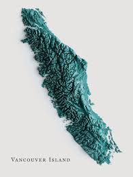 The topography of Vancouver Island : rMapPorn