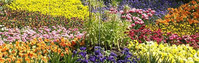 Der botanische garten linz beherbergt rund 10.000 verschiedene pflanzenarten auf 4,2 ha. Pflanzenkunde Im Botanischen Garten Linz Kindaktuell At