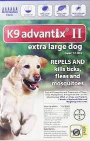 Flea And Tick Prevention For Dogs Tick Control For Dogs Tick Treatment For Dogs Fleas