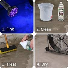 Steps For To Remove Urine Off Concrete Cat Urine Smells Cleaning Pet Urine Cat Pee Smell