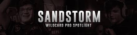 Sandstorm » games » brawlhalla stats. Pro Spotlight Sandstorm Wildcard Gaming