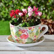 Giant Teacup Saucer Planter Flamingo Garden Planters B M Tea Cups Tea Cup Planter Decorative Planters