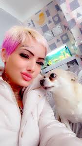 Introduction and photos of chiweenie