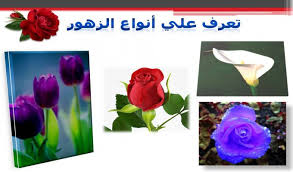 النباتات وأسماؤها انواع النباتات بالصور والاسماء