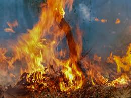 Menyebabkan hujan asam karena oksida belerang dan oksida nitrogen hasil pembakaran batu bara yang ada ke udara bereaksi dengan uap air membentuk awan asam. Bakar Sampah Terapan Salah Kebiasaan Rajin Halaman All Kompasiana Com
