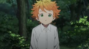 A great anime like if you want more episodes not created by me not owned by me. The Promised Neverland Season 1 Episode 1 Eng Sub Watch Legally On Wakanim Tv