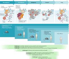Find the latest information on primary brain tumors and learn how memorial sloan kettering doctors can help or your loved one. Challenges To Curing Primary Brain Tumours Nature Reviews Clinical Oncology