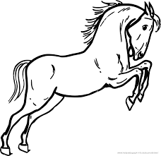 Pin Auf Pferd Ausmalbilder