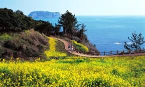 Tempat menarik di jeju ini juga dikenali sebagai seongsan sunrise peak. Pin Di Favorite Places Spaces