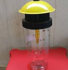 Tutorial membuat perangkap lalat buah dengan hormon methyl engenol. Perangkap Lalat Buah Home Facebook