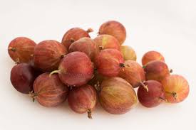 Check spelling or type a new query. Stachelbeere Im Garten Vergessenes Beerenobst Neuentdeckt Botanik Guide