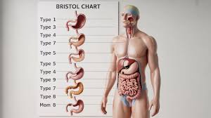 Image result for acholic stools human