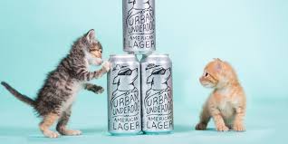Donations of purina pet food will be used to feed. Urban Underdog Kittens Pet Adoption Purina Pets