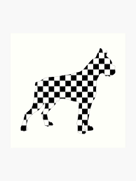 Racing Checkered Flag Cane Corso Mastiff Design Black And White Check Racer Dog Pattern 1 Art Print