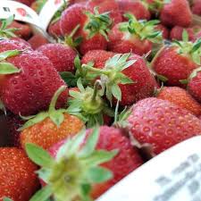 C Est Commence Les Fraises Du Quebec Sont Enfin Pretes Jusqu En Septembre Il Sera Possible De Vous Procurer Les Fraises De La Belle De Food Fruit Strawberry