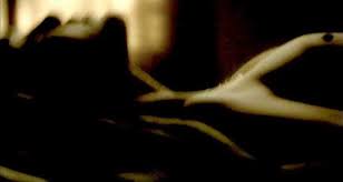 Julia Jones Nude Sex Scene on Scandalplanet Com by Celeb Porn Archive |  xHamster