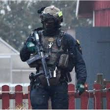 Piketen From Sweden Military Special Forces Special Forces Military Soldiers