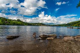 Walk or use the local buses. Seerundweg Titisee Hiking Route Outdooractive Com