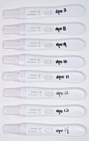 early pregnancy test results for different brands pregnancy