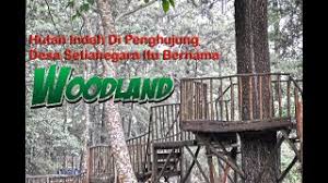 Hutan desa setianegara merupakan spot yang tepat buat kamu yang ingin sejenak menghindar dari ramainya perkotaan. Hutan Indah Di Penghujung Desa Setianegara Itu Bernama Woodland Youtube