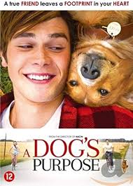 Dog's purpose