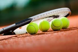 A game played with rackets and a light ball by two players or two pairs of players on a rectangular court divided by a net. Ata Tenis Kulubu Startseite Facebook