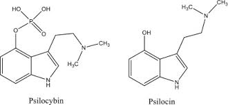 Please help improve it or discuss these this article includes a list of references, but its sources remain unclear because it has insufficient inline citations. Psychoactive Plants And Phytochemicals Sciencedirect