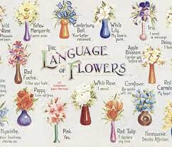 More examples of plants and their associated human qualities during the victorian era include bluebells and kindness, peonies and bashfulness, rosemary and remembrance, and tulips and passion. What Is A Flower Or Flowers That Represent Happiness And Strength Quora