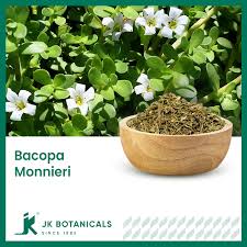 Image result for Bacopa monnieri