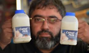 Although the us classifies them as 'exotic animals, they actually have early origins here; Corner Shop Starts Selling Frozen Camel Milk For 6 A Pin Daily Mail Online