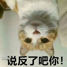 Behold, chinese judging the freedom of speech in other country #thegreattranslationmovement #大翻译运动 #ukrainerussiawar. Ix8t4f7uayyedm