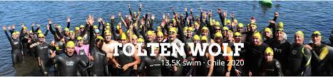 9612870) is a container ship that was built in 2012 ( 8 years ago ) and is sailing under the flag of liberia. Tolten Wolf 2020 Chile Water World Swim