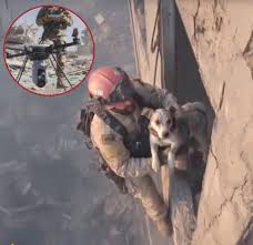 Perspective of building collapse in video