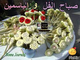 صباح الفل والياسمين good morning greetings morning greeting greetings