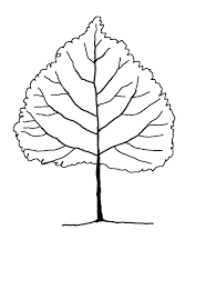 Check spelling or type a new query. Trees They Re Everywhere Draw With Rich