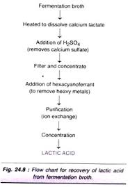 Production Of Important Organic Acids By Fermentation