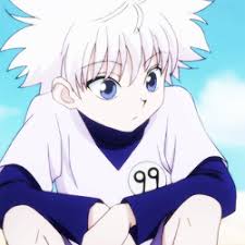 Find this pin and more on hunter x hunter by christyp. Matching Icons Hunter X Hunter Novocom Top