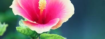 Trauerkerze für Wolfgang Schröder von Angelika Husmann