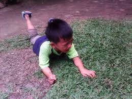 X \ melchor saraus jr على X: 