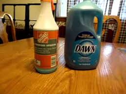 Dish Soap Bug Killer Youtube