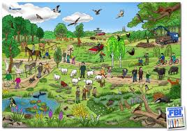 Visual Stimulus Shed Where S Waldo Pictures Picture Prompts See Think Wonder