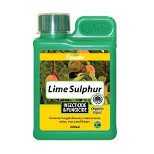 Winter is the time to get ahead of fruit tree problems oregonlive com. Buy Grosafe Lime Sulphur Online Southern Woods