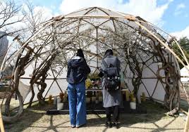 Go through your home, imagining what could happen to each part of it, if shaken by a violent earthquake. Seven Years On How Far Has Japan Come After Its Earthquake And Tsunami The National