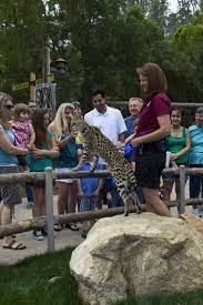 San Diego Zoo Safari Park Guide 2021 Hours Tours Tips La Jolla Mom In 2021 San Diego Zoo Safari Park Safari Park San Diego Zoo
