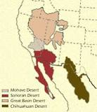 North American Deserts