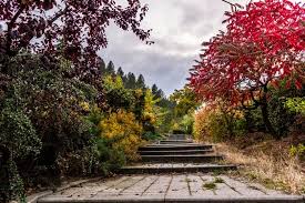 And therefore, also, that the garden of eden must be sought elsewhere than in a geographical location. Is This Location Of The Real Garden Of Eden Ancient Code
