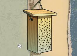 How to build a bee house. How To Build A Bee House For Solitary Bees Scout Life Magazine