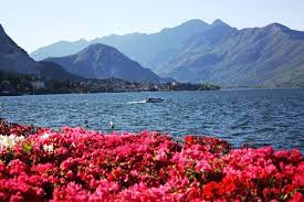 Glamping, piazzole, maxicaravan, villette, appartamenti in il camping village lago maggiore ti farà vivere una vacanza indimenticabile tra spiagge, sole e. Cosa Vedere Al Lago Maggiore E Al Lago D Orta